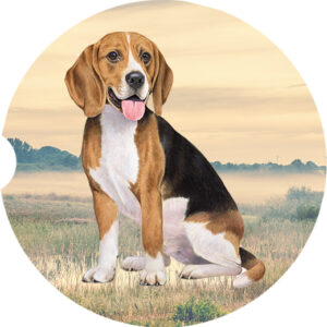 BEAGLE SITTING CAR COASTERS