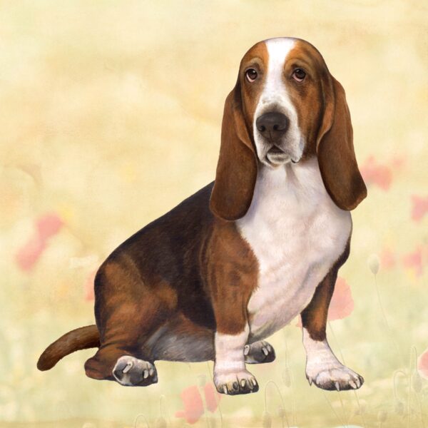 BASSET HOUND SITTING HOME COASTERS