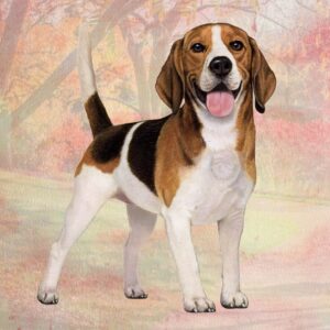 BEAGLE STANDING HOME COASTERS