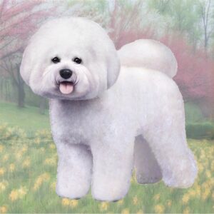 BICHON FRISE STANDING HOME COASTERS
