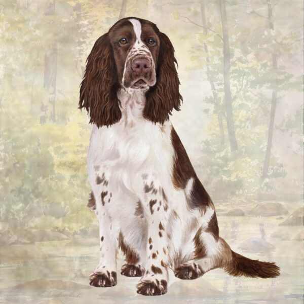 SPRINGER SPANIEL SITTING HOME COASTERS