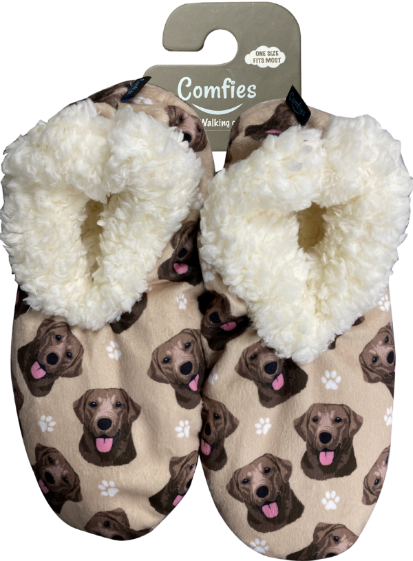 LABRADOR, YELLOW SLIPPERS