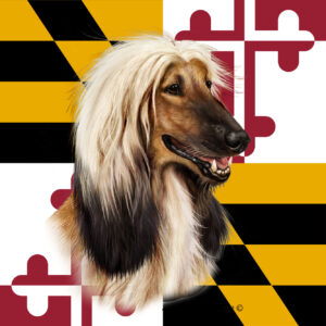 AFGHAN HOUND BEST OF BREED - GARDEN FLAG