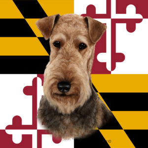 AIREDALE BEST OF BREED - GARDEN FLAG