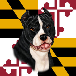 AMERICAN PITBULL BW BEST OF BREED - GARDEN FLAG