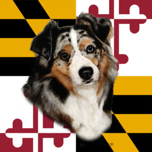 AUSTRALIAN SHEPHERD BLUE MERLE BEST OF BREED - GARDEN FLAG