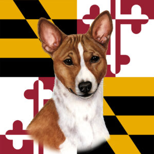 BASENJI BEST OF BREED - GARDEN FLAG