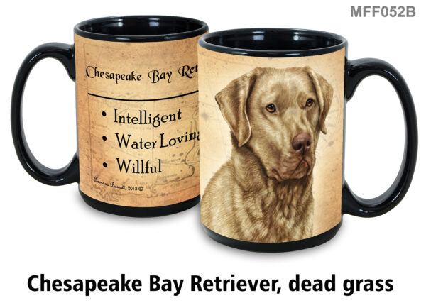 Chesapeake bay retriever dead grass